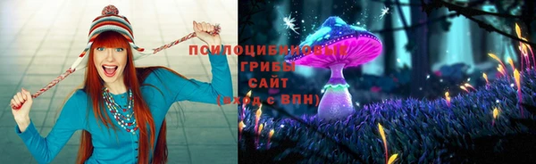 гашик Вуктыл