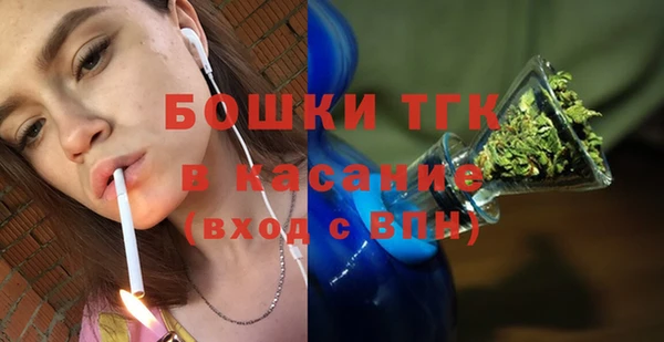 эйфоретик Арсеньев