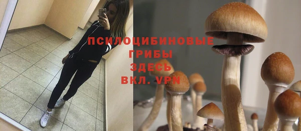 эйфоретик Арсеньев