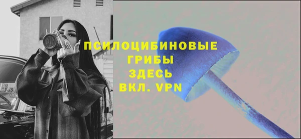 эйфоретик Арсеньев
